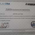Acercar imagen: certificate 4