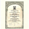 Acercar imagen: certificate 12