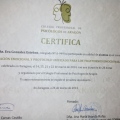 Acercar imagen: certificate 17
