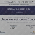Acercar imagen: certificate 8
