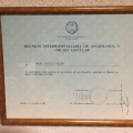 Acercar imagen: certificate 9