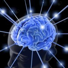 Acercar imagen: Belén Navarrete Santamaría, Psicólogo Zamora