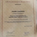 Acercar imagen: certificate 29