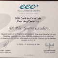 Acercar imagen: certificate 6