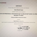 Acercar imagen: certificate 3
