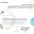 Acercar imagen: certificate 1