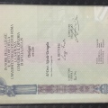 Acercar imagen: certificate 1