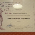Acercar imagen: certificate 3