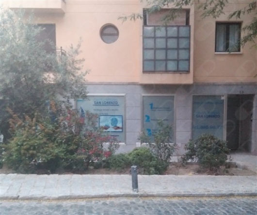 Elisa Carolina Garrido Carrión-3