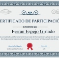 Acercar imagen: certificate 17