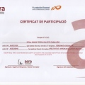 Acercar imagen: certificate 2