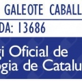 Acercar imagen: certificate 29