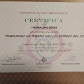 Acercar imagen: certificate 3