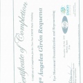 Acercar imagen: certificate 10