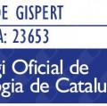 Acercar imagen: certificate 1