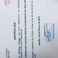 Acercar imagen: certificate 9