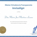 Acercar imagen: certificate 9