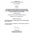 Acercar imagen: certificate 22