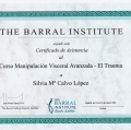 Acercar imagen: certificate 24