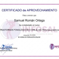 Acercar imagen: certificate 10