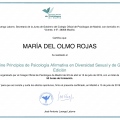 Acercar imagen: certificate 5