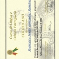 Acercar imagen: certificate 36