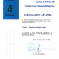 Acercar imagen: certificate 10