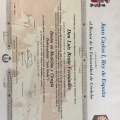 Acercar imagen: certificate 1