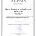Acercar imagen: certificate 8