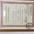 Acercar imagen: certificate 5