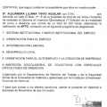 Acercar imagen: certificate 17