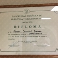 Acercar imagen: certificate 4
