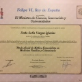 Acercar imagen: certificate 5