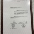 Acercar imagen: certificate 9