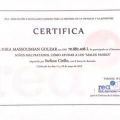 Acercar imagen: certificate 9
