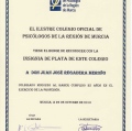 Acercar imagen: certificate 374