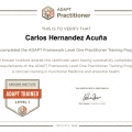 Acercar imagen: certificate 6