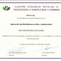 Acercar imagen: certificate 13
