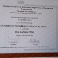 Acercar imagen: certificate 6