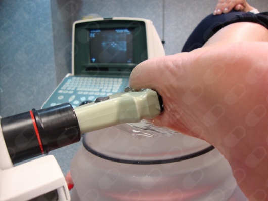 Josep Pous Barral-19