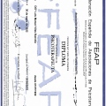 Acercar imagen: certificate 5