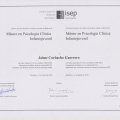 Acercar imagen: certificate 9