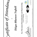 Acercar imagen: certificate 3