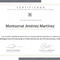Acercar imagen: certificate 3