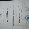 Acercar imagen: certificate 2