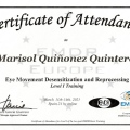 Acercar imagen: certificate 15