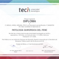 Acercar imagen: certificate 8