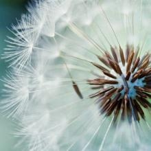 Acercar imagen: Maria Soliva, Psicólogo Castellón de la Plana