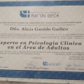 Acercar imagen: certificate 5