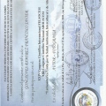 Acercar imagen: certificate 46